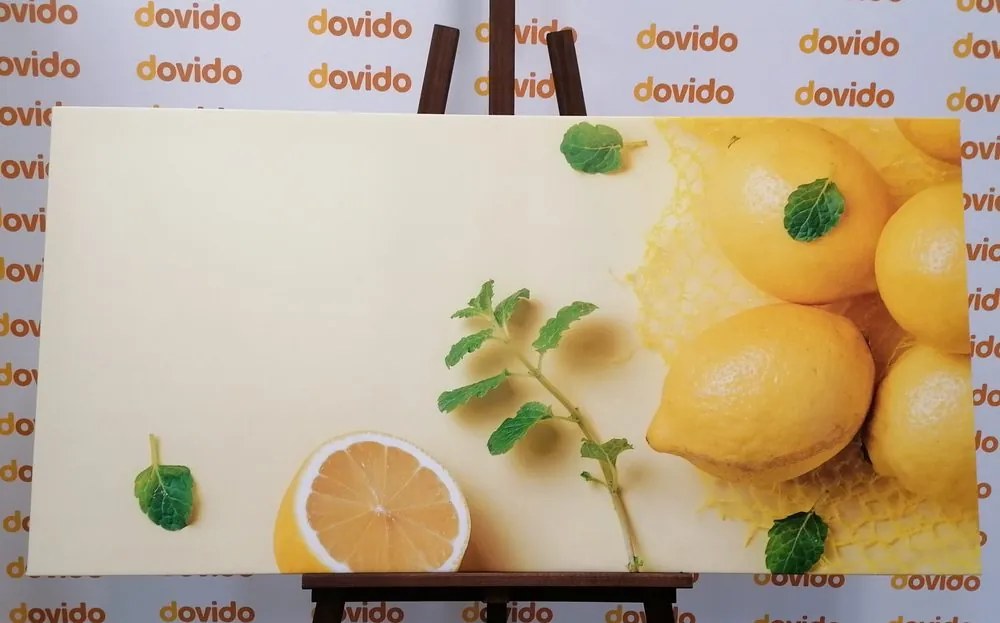 Stampa su tela – Limoni con menta