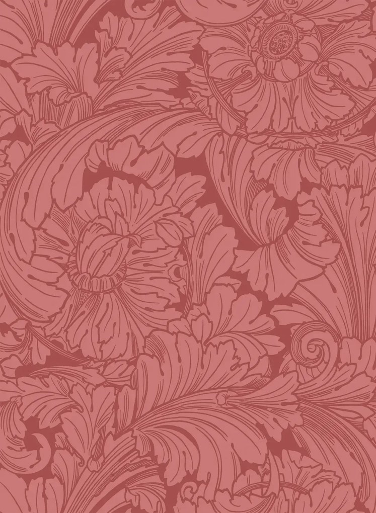Cole & Son Carta da parati Acanthus - Stately Home Red