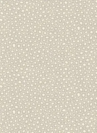 Cole & Son Carta da parati Senzo Spot - Stone & White