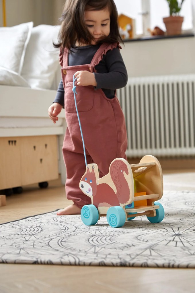 Trainabile - Scoiattolo