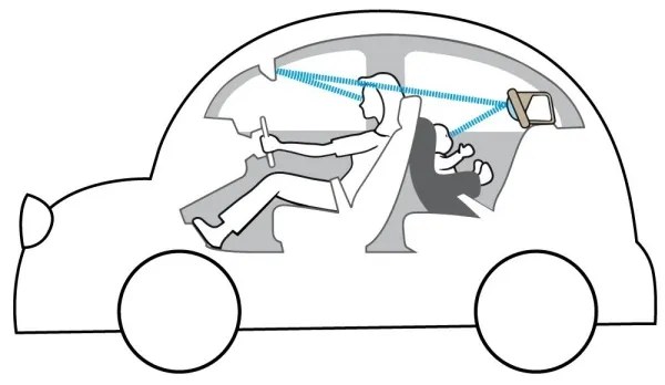 Taf Toys - Specchio auto koala