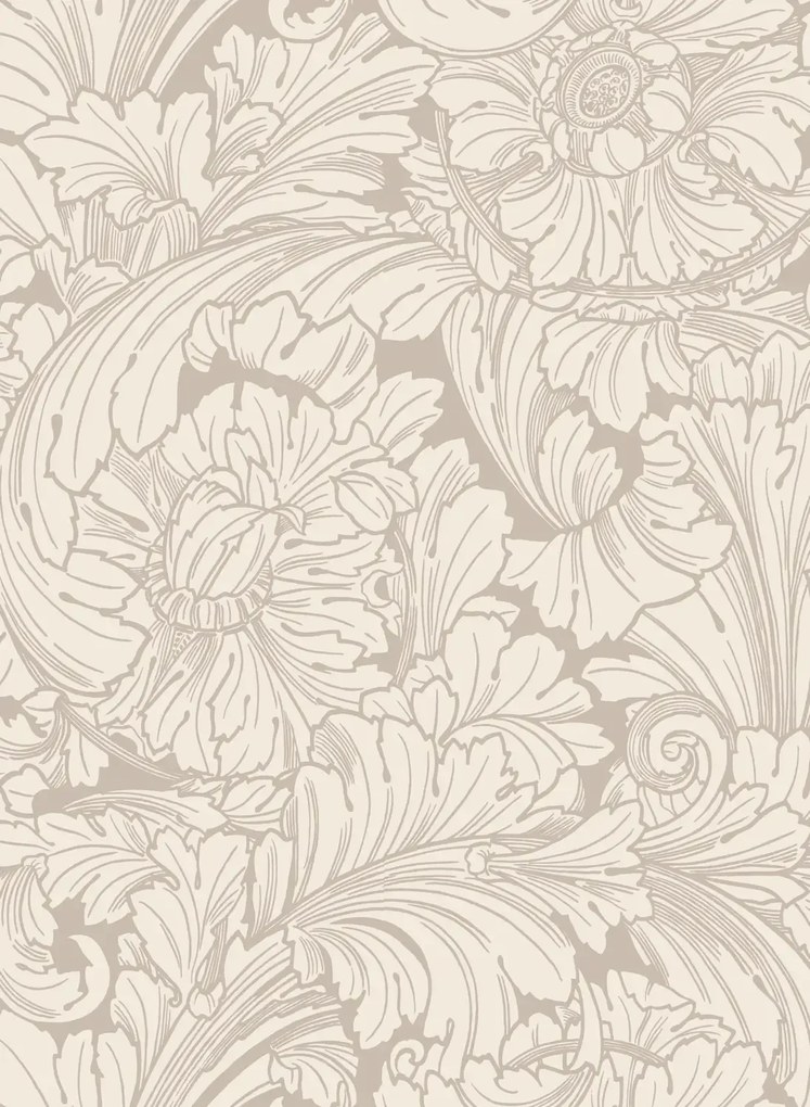 Cole & Son Carta da parati Acanthus - Cream & Pebble