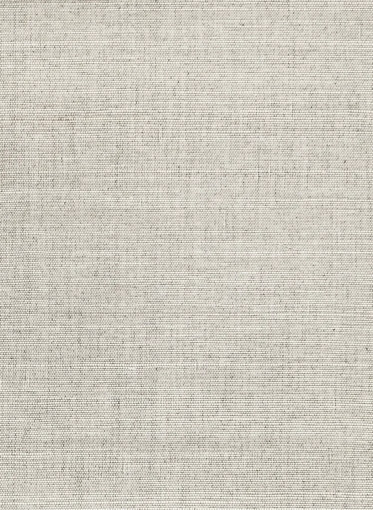 Arte International Tapete Line - Pale Smoke