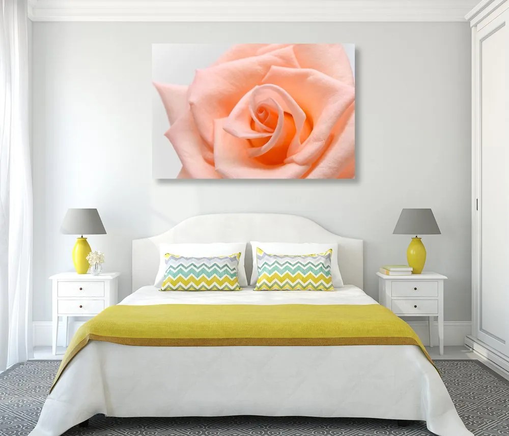 Quadro su tela – Rose in tonalità pesca