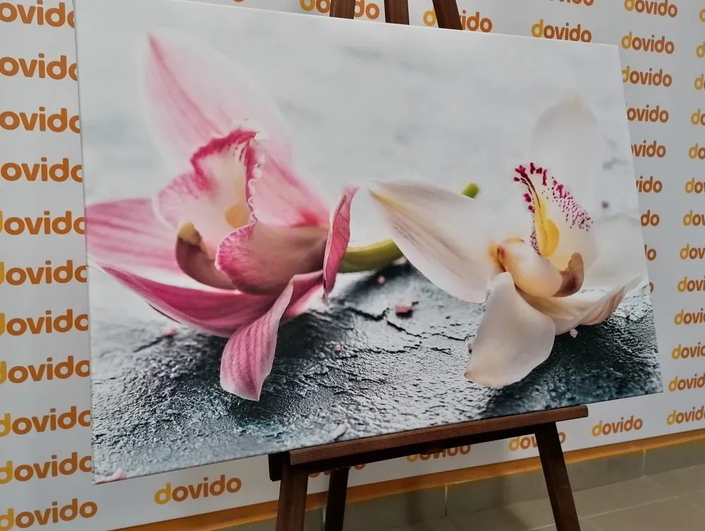 Stampa su tela – Due fiori colorati di orchidea