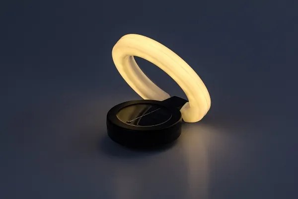 Rabalux 77187 - Lampada solare LED BOKOD LED/0,05W/1,2V IP44