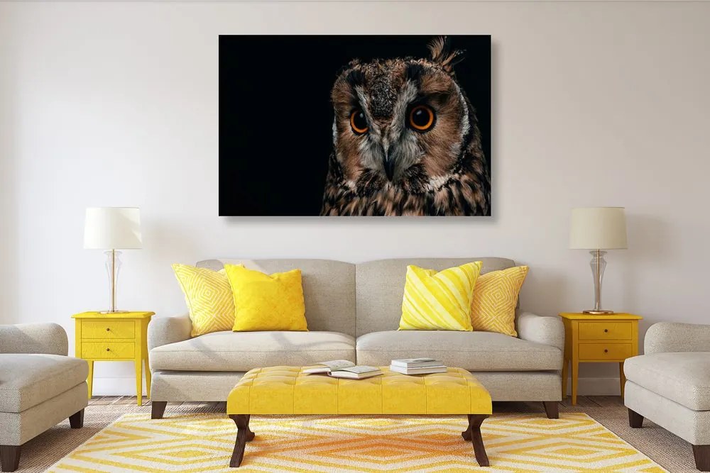 Quadro su tela – Gufo