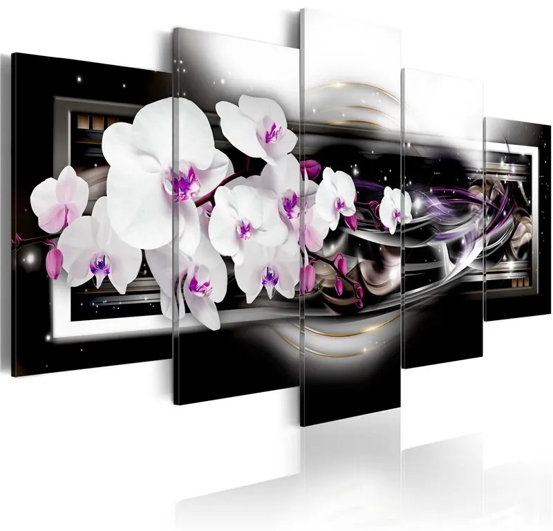 Quadro Orchidee su sfondo nero  Colore colorful, Dimensioni e Misure 100x50