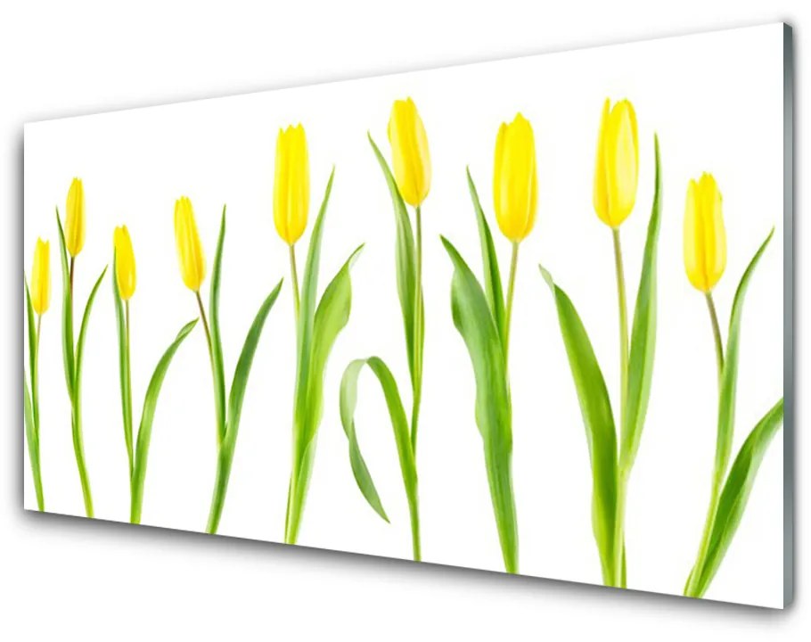 Quadro vetro Fiori di tulipani gialli 100x50 cm 2 appendini