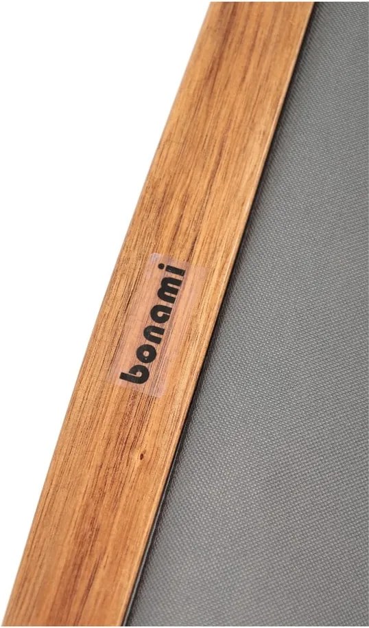 Sdraio da giardino grigia/di colore naturale in legno massiccio Dionysus – Bonami Essentials