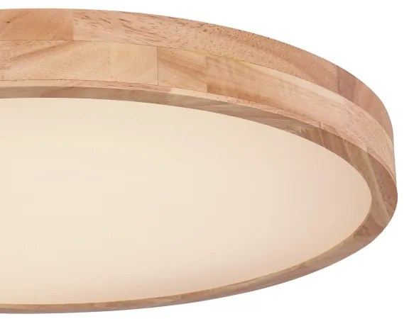 Globo 41745-48 - Plafoniera LED dimmerabile RAINER LED/48W/230V + +TC