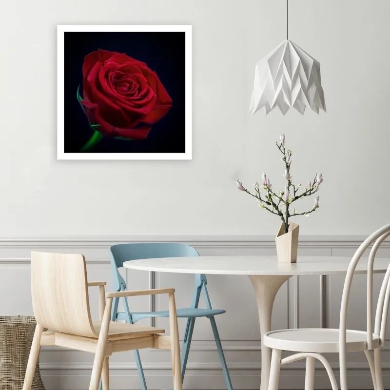 Quadro su tela, Fiore di rosa rossa  Dimensioni 30x30