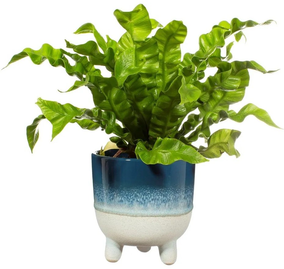 Coprivaso in gres ø 12 cm Mojave - Sass & Belle