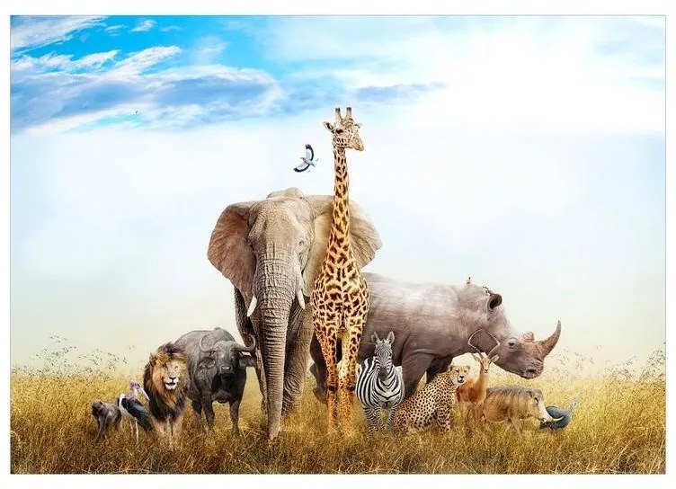 Fotomurale adesivo  Fauna of Africa  Larghezza x Altezza Home decor 98x70