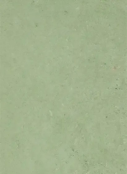 terrastone original - Musterkarte - indisch dunkelgrün