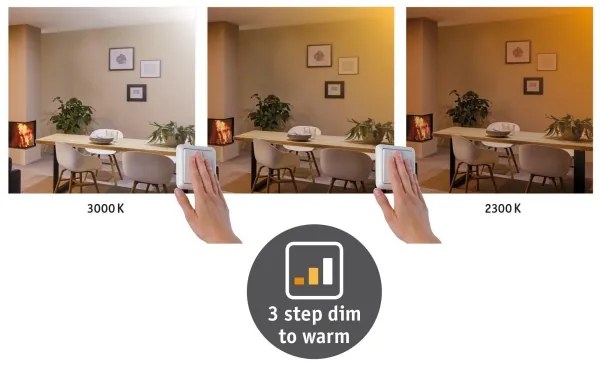 Paulmann 79799 - LED/19W Plafoniera CARPO 230V 2300/2500/3000K