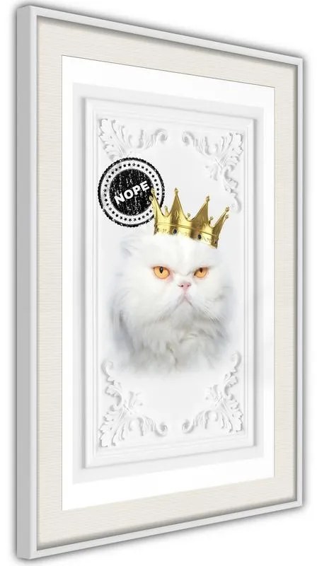 Poster  Cat Rules II  Cornice Quadri Cornice d'oro, Larghezza x Altezza Home decor 40x60