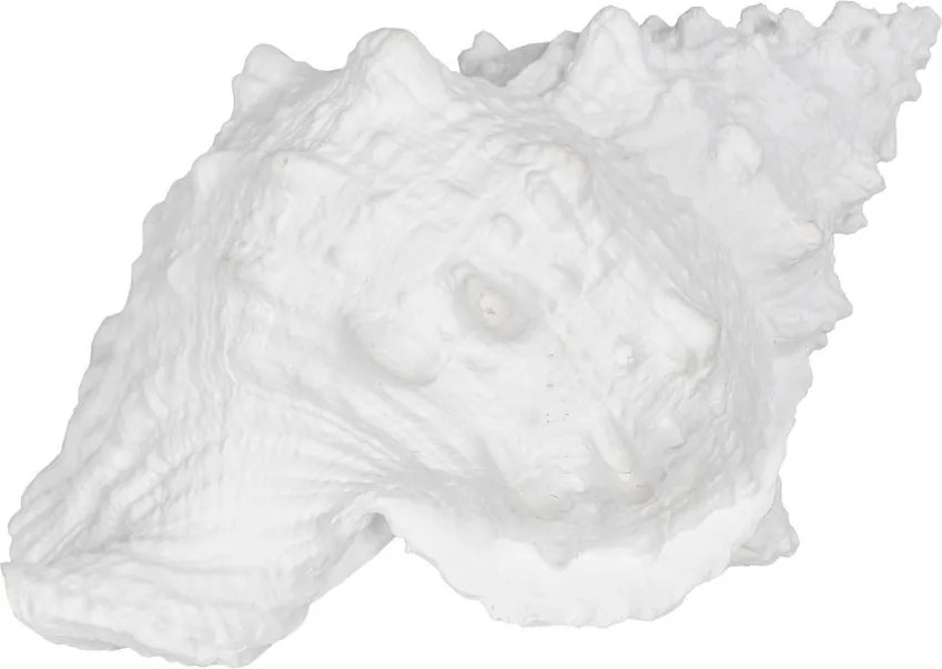Statua in poliresina (altezza 12 cm) Seashell - Ixia