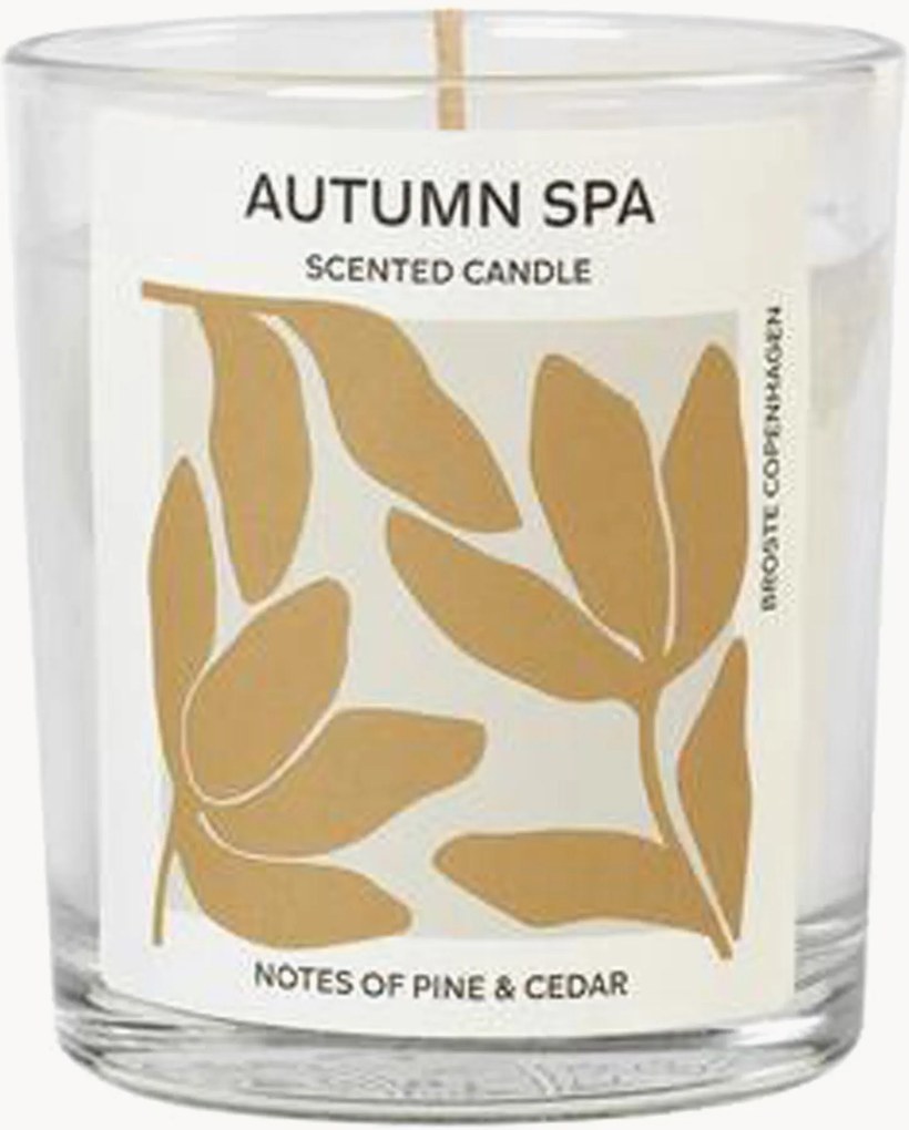 Candela profumata Autumn Spa (pino & cedro)