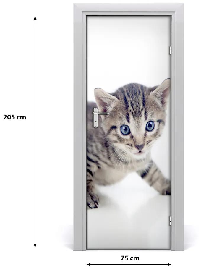 Adesivo per porta Piccolo gatto 75x205 cm
