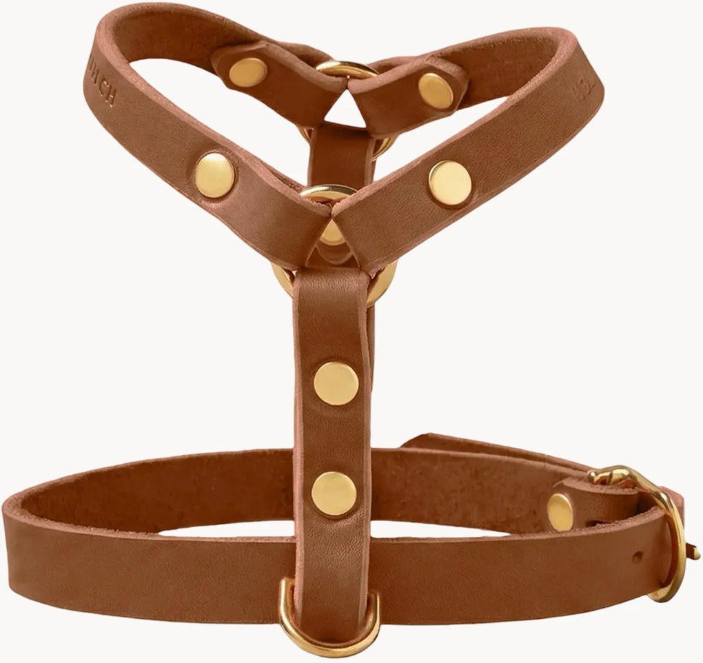 Imbracatura per cani in pelle Y-Harness, varie misure