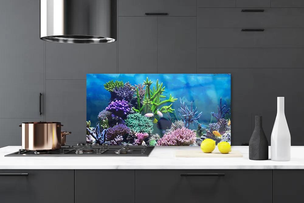 Pannello paraschizzi cucina Pesce sott'acqua acquario 100x50 cm