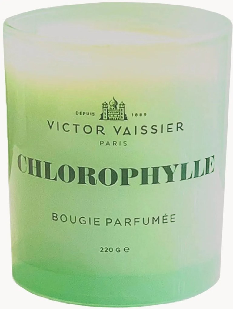 Candela profumata fatta a mano Chlorophylle (tulipani, vetiver, fresia)