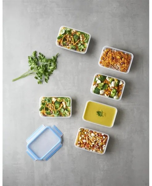 Tefal - SET 6x Contenitore per alimenti 0,8 l MASTER SEAL FRESH blu
