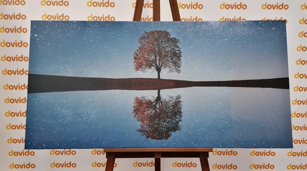 Stampa su tela – Cielo stellato sopra un albero solitario
