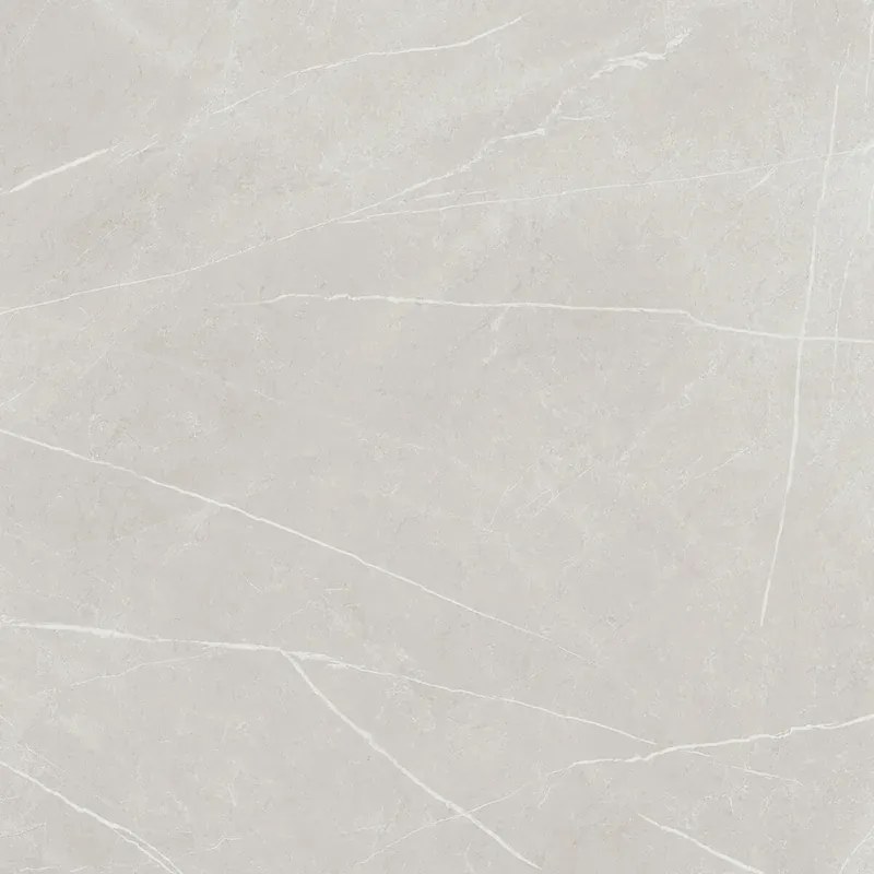 Piastrella da pavimento e rivestimento interno rettificato Eternal Pearl in gres porcellanato opaco grigio 120 x 120 cm Sp. 9 mm traffico intenso (pei 4/5) R9 1.44 mq