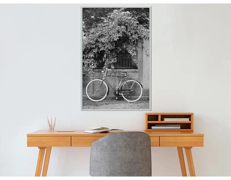 Poster Bicycle with White Tires