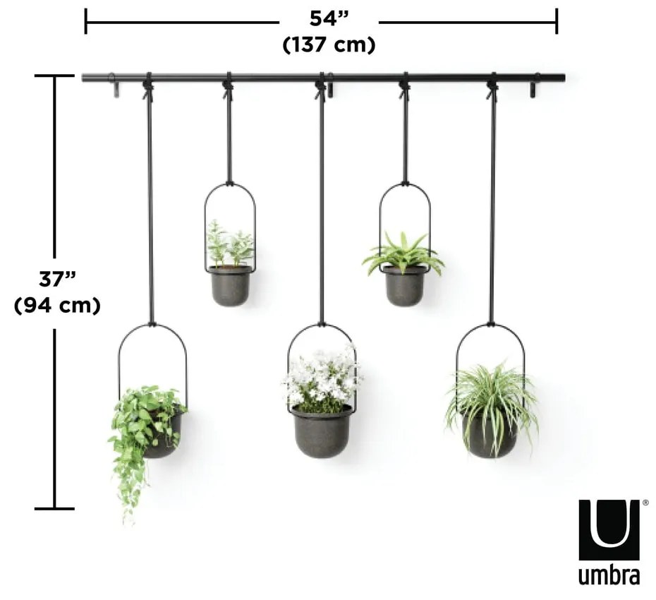 Contenitore in plastica sospeso per vasi di erbe aromatiche 5 pz ø 7,5 cm Triflora - Umbra