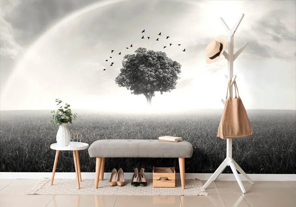 Carta da parati – Albero solitario in bianco e nero sul prato