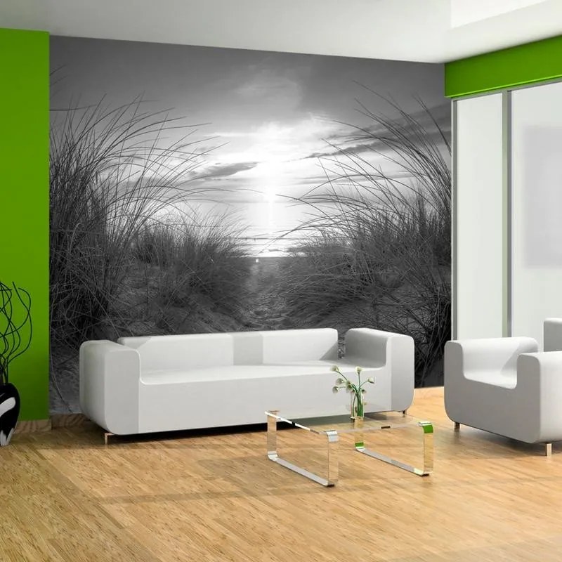 Fotomurale adesivo  beach (black and white)  Larghezza x Altezza Home decor 245x175