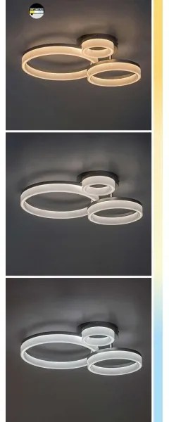 Rabalux 71382 - Plafoniera LED dimmerabile ELLINOR LED/40W/230V