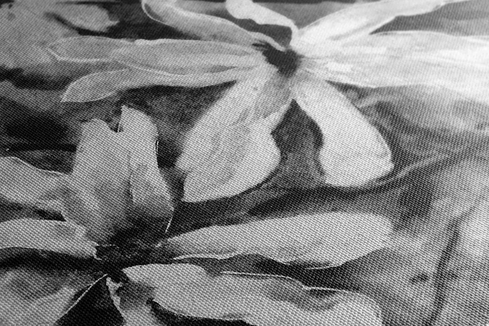 Stampa su tela – Albero acquerellato in fiore in bianco e nero