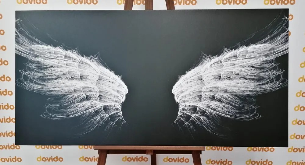 Quadro su tela – Ali d'angelo in bianco e nero