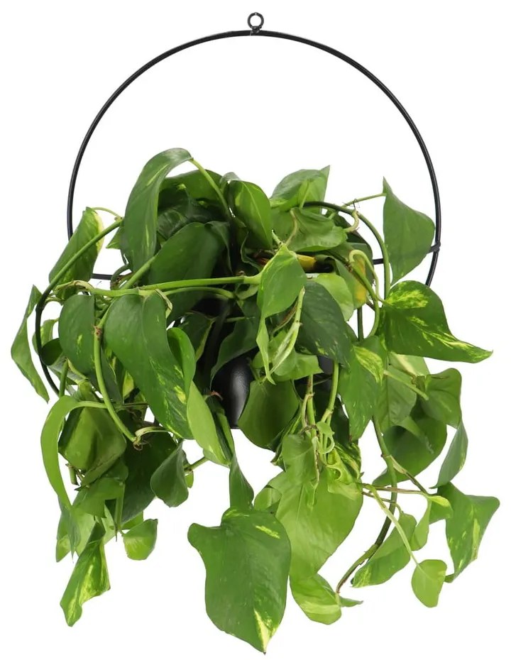 Portavaso appeso in metallo Planter - Esschert Design