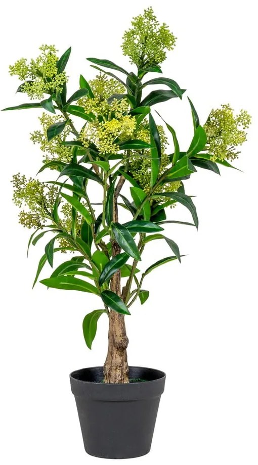 Pianta artificiale Skimmia - House Nordic