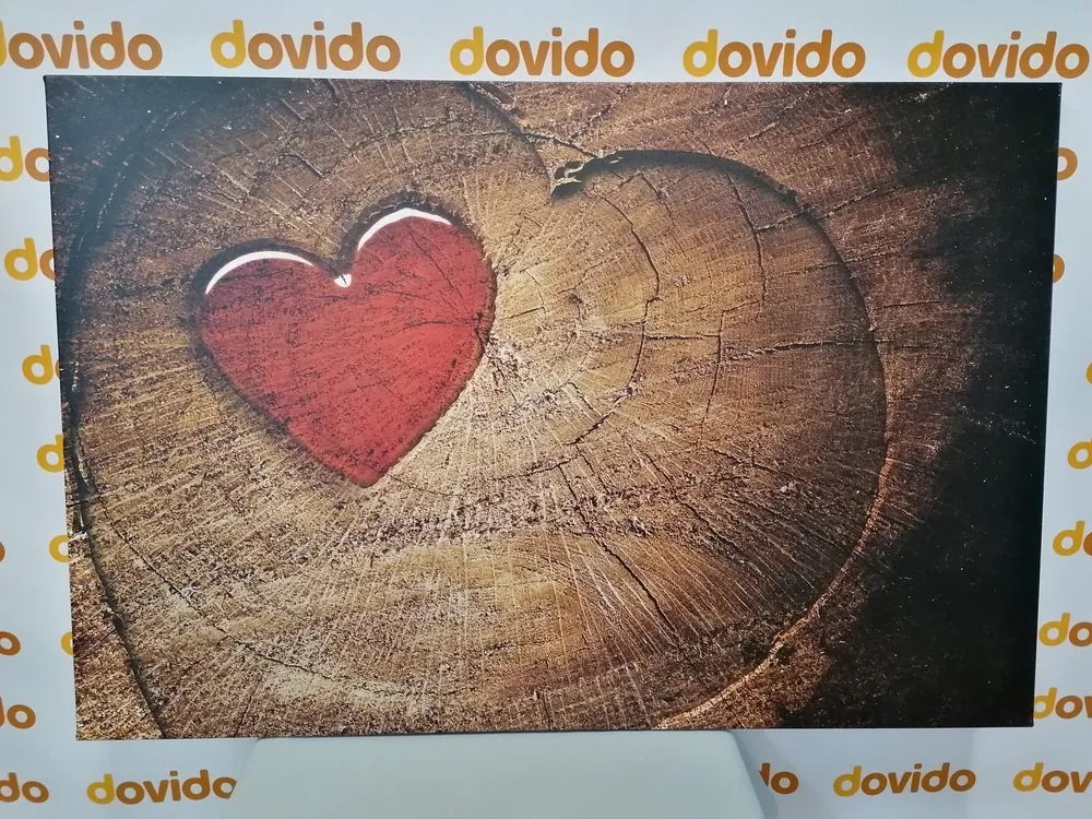 Quadro su tela – Cuore su tronco