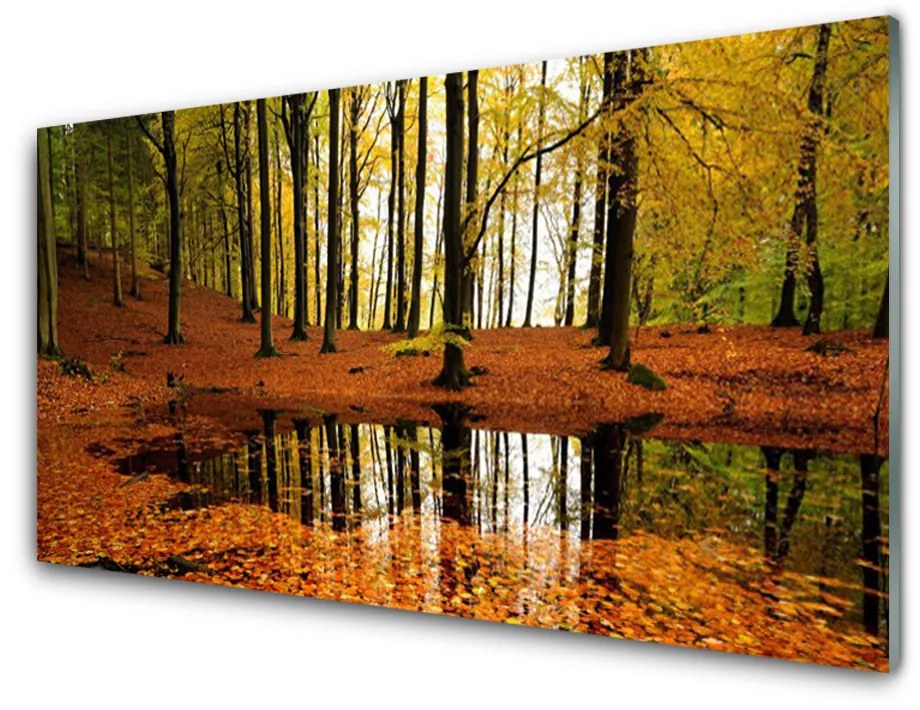 Quadro acrilico Alberi della natura della foresta 100x50 cm 2 appendini