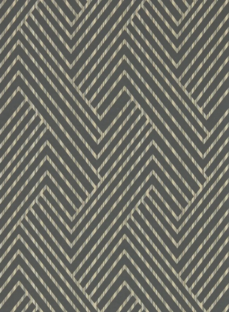 Clarke & Clarke Carta da parati Grassetto - Charcoal