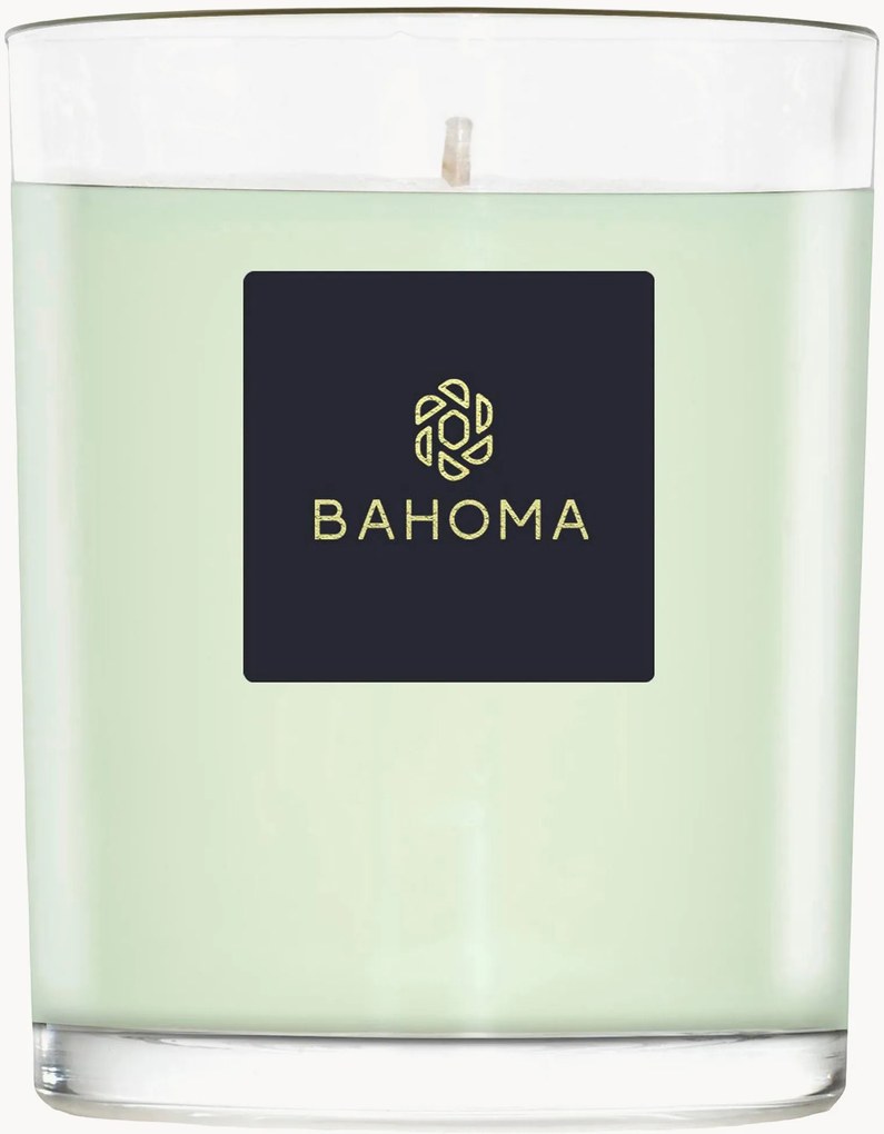 Candela profumata fatta a mano Alchemy (primula, legno d'ambra)