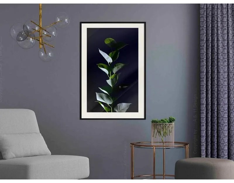 Poster Floral Elegance