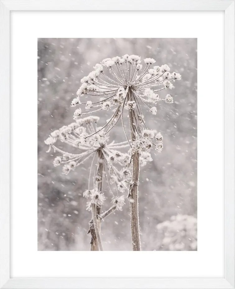 Dipinto 40x50 cm Snow – knor