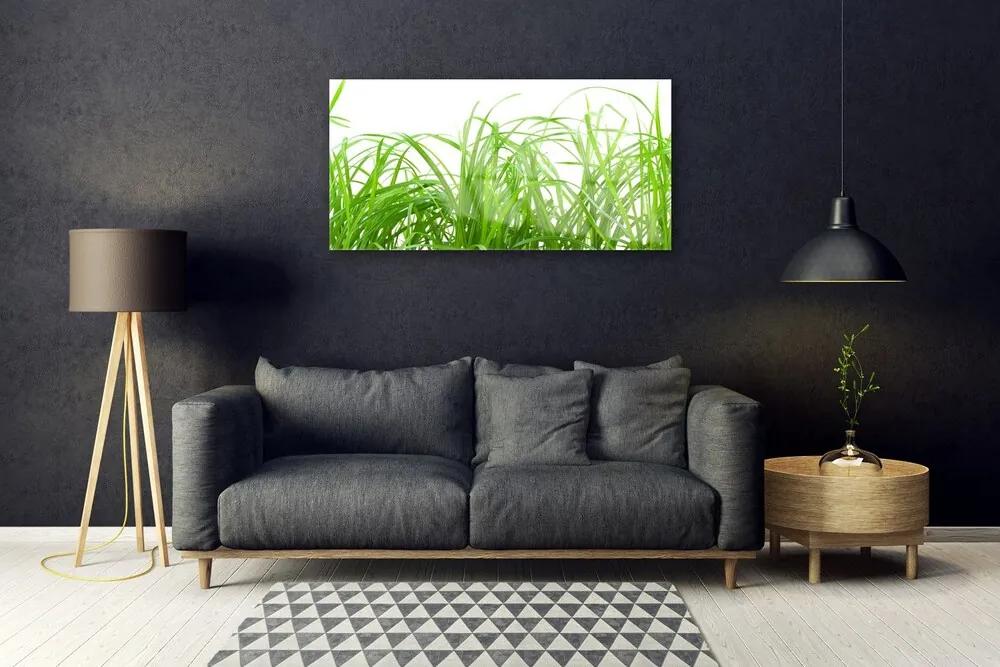 Quadro vetro acrilico Erba, piante, natura 100x50 cm
