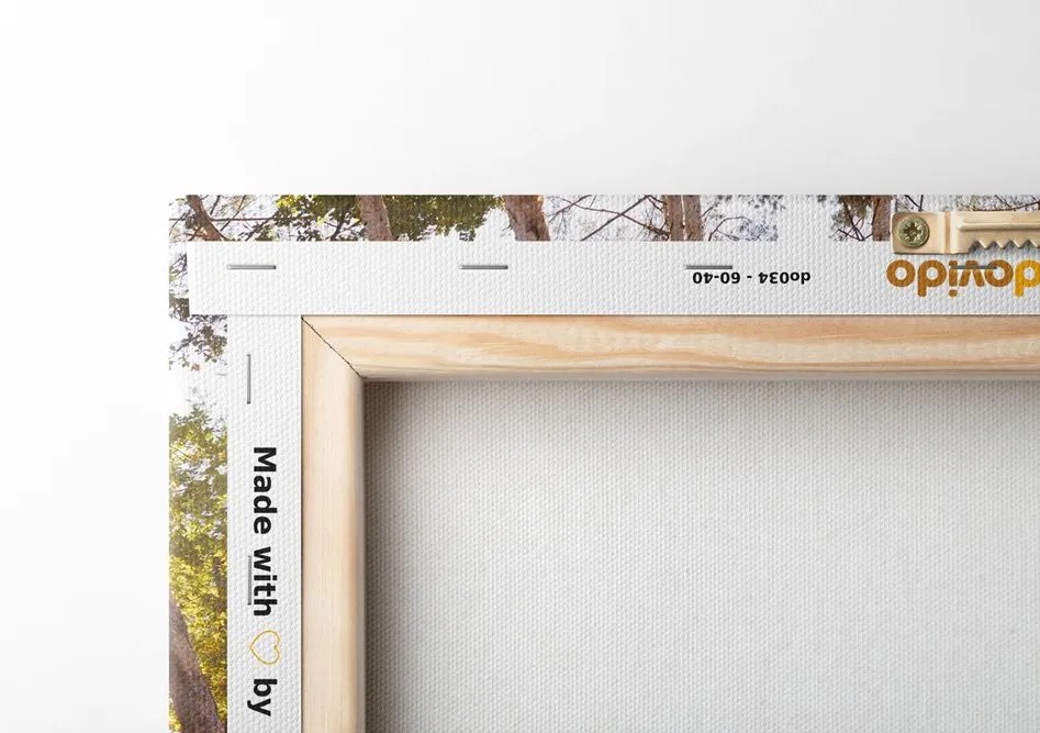 Quadro su tela – Foresta nei colori autunnali