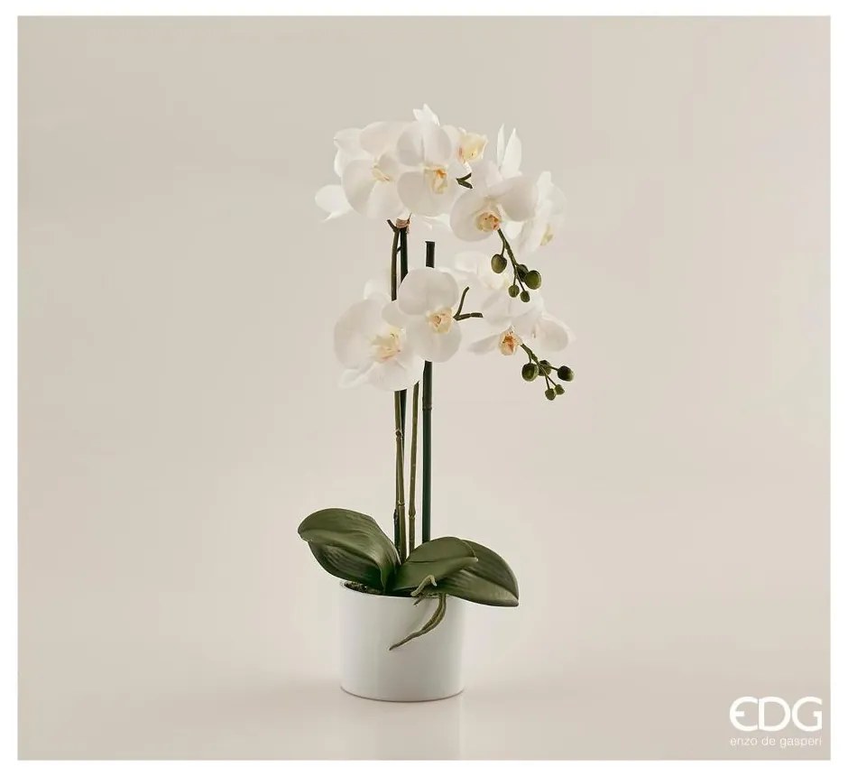 EDG - Enzo De Gasperi Pianta artificiale con vaso Orchidea h 55