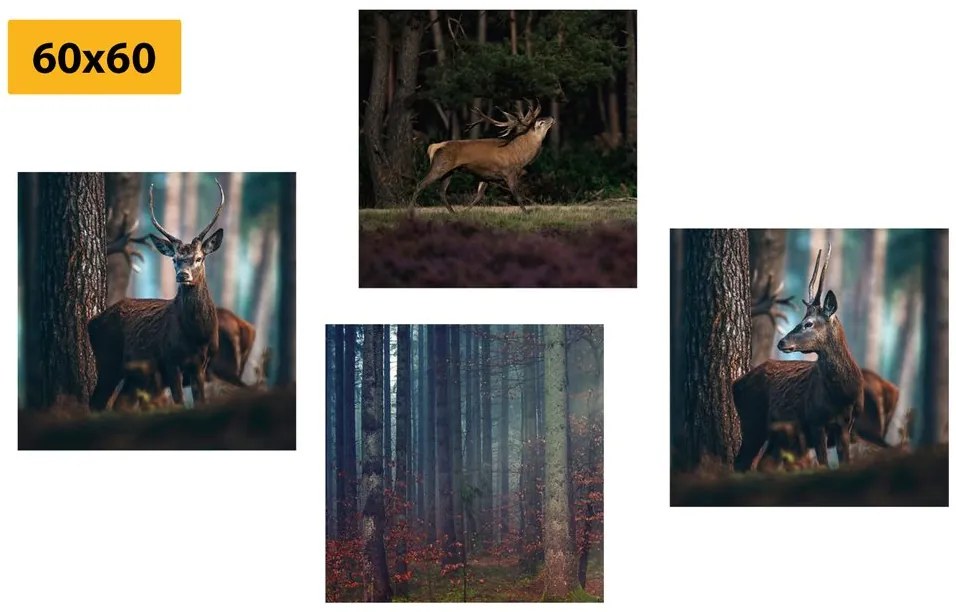 Set di quadri – Incanto degli animali del bosco