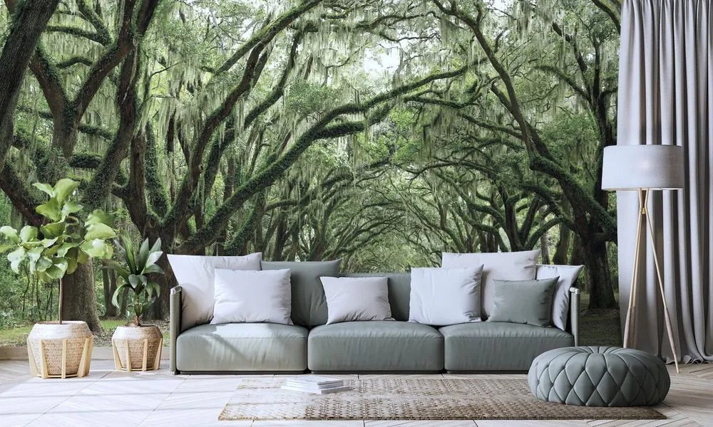 Carta da parati – In abbraccio degli alberi